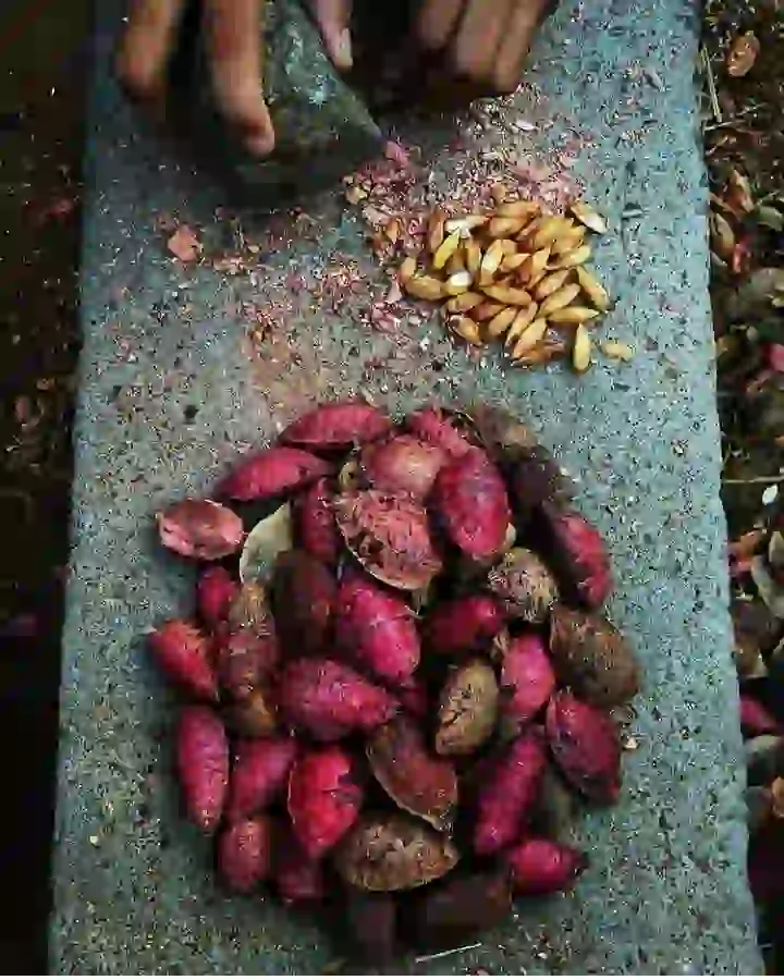 Maqui Berry Ingredient