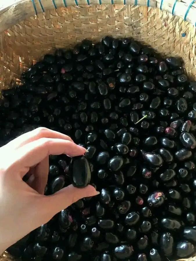 Haematococcus Ingredient